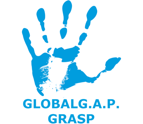 global grasp